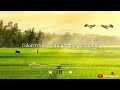 Safira Inema Sayang Kowe Lirik Lagu Hitz