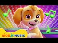 PAW Patrol Skye S Dance Party Skye S Music Party Nick Jr Music