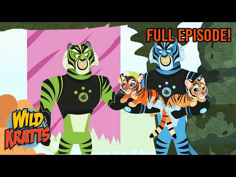 Temple of Tigers | Wild Kratts | Scholastic International