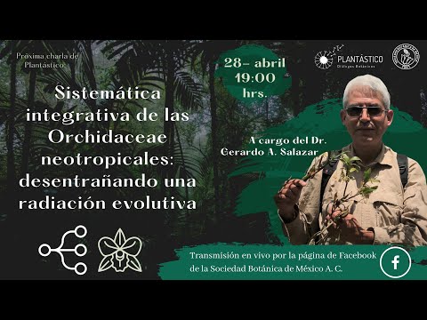 , title : 'Sistemática integrativa de las Orchidaceae neotropicales: desentrañando una radiación evolutiva'