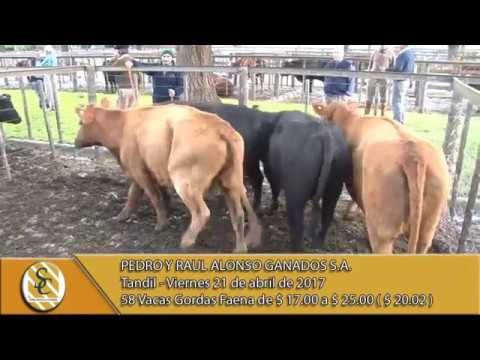 21-04-17 Venta de Vacas Gordas - Pedro y Raul Alonso Ganados S.A. - Tandil.