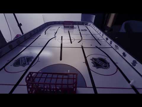 Meet The MHLs Newest Team - The Squirrels