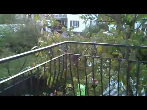POKOJE GOŚCINNE  WANDA W DARŁOWIE - BALKON 00.mp4