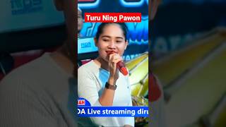 Download lagu Ibarate turu Ning Pawon #shorts mp3