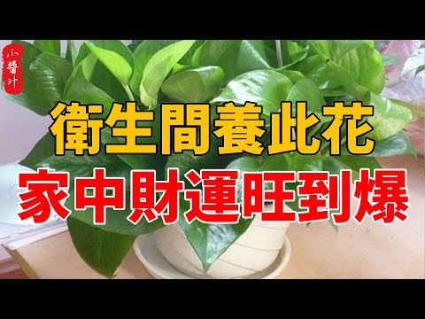 子孫汁