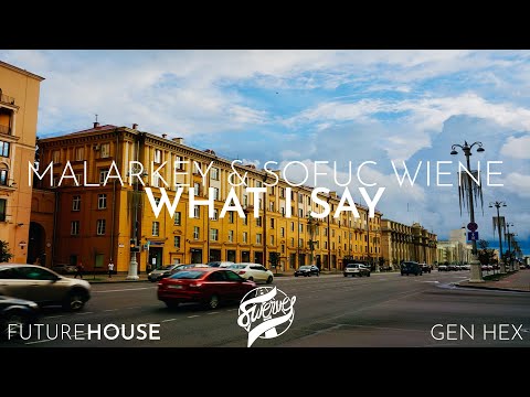Malarkey & Sofus Wiene - What I Say