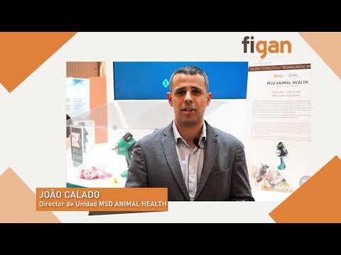 FIGAN 2025:Entrevista a Joao Calado de MSD ANIMAL 