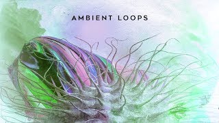 Video thumbnail for Ambient Loops by AK by Black Octopus Sound