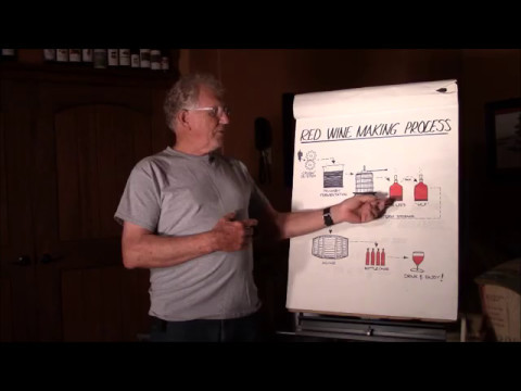 Home Winemaking 101 with Bill Sisler