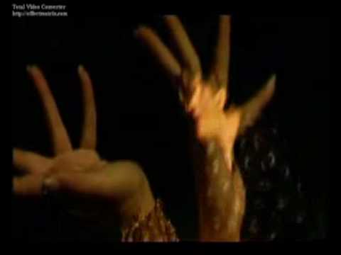 BUSHA UNGRO (CIGANKA).flv