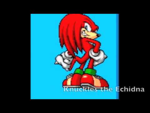 Sonic Advance 2 Characters