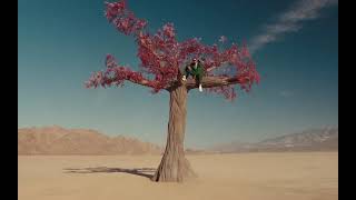 WHERE SHE GOES jetzt Video ansehen