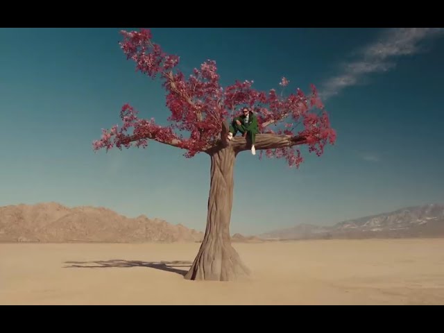 Where She Goes von Bad Bunny ((jetzt ansehen))