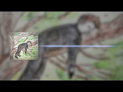 Jack Favn - Vocea ei (Lyrics)