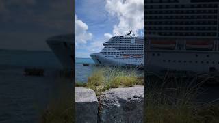 MSC Meraviglia #shorts