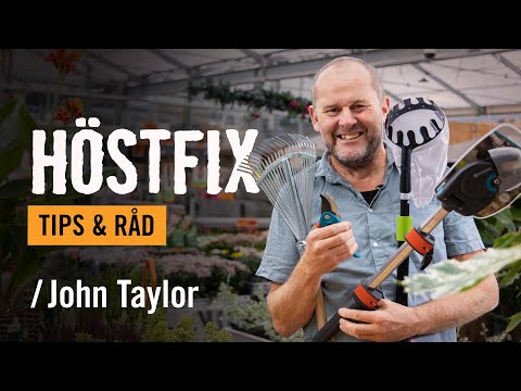 Höstfix i trädgården /John Taylor | Tips & råd [HORNBACH]