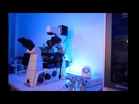 Predicting Cardiotoxicity Using Human Cardiomyocytes | AnaBios Cardiac Safety Research