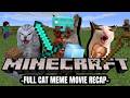Cat MEMES A MINECRAFT MOVIE