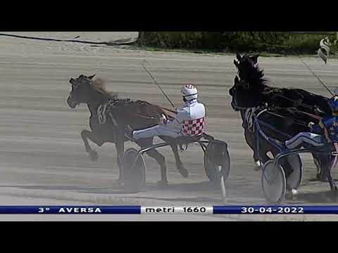 Aversa trotto 30 Aprile 2022 - 3° Corsa