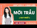 Mời trầu Ngữ văn lớp 8 Cánh diều