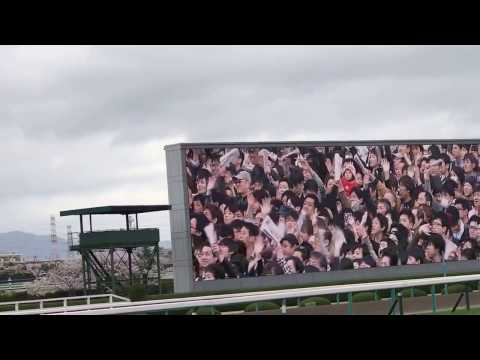 2017.4.9 第77回 桜花賞(G1) 柵付近