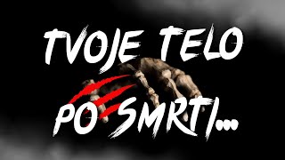 Download lagu Čo sa stane s tvojím telom po smrti? Brutálny rozklad krok za krokom. mp3 Download lagu Čo sa stane s tvojím telom po smrti? Brutálny rozklad krok za krokom. mp3