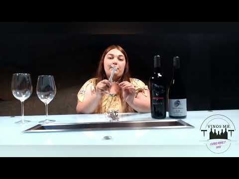 5 pasos para aprender a comprar un buen vino tinto 🍾🍷