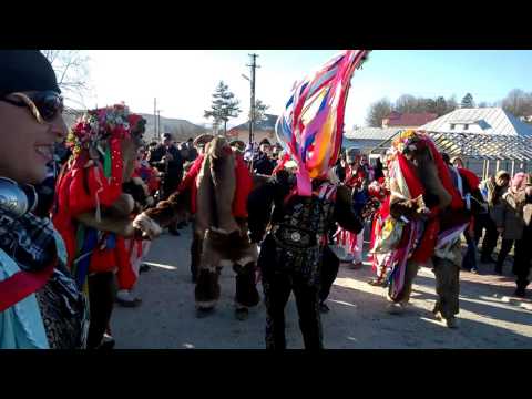 Obiceiuri Anul Nou Sat.Cosula 31.12.2015-2016