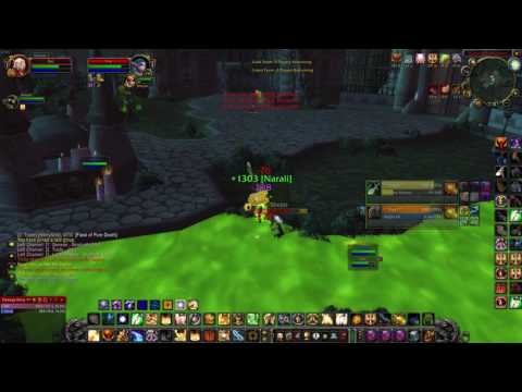 Ret Shaman vs. rogue druid warmane outland LUL