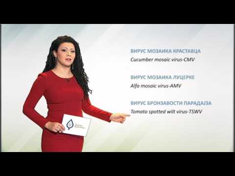 Zelena prognoza, 21.3.2017. - O  merama u proizvodnji rasada paprike i paradajza