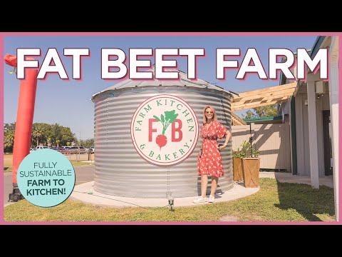 參觀位於佛羅里達州坦帕市的可持續農場和廚房--胖甜菜農場 (Visit the Sustainable Farm and Kitchen in Tampa, Florida at Fat Beet Farm)