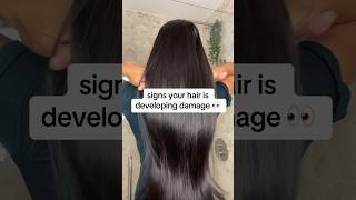 Download lagu your hair is damaged if this happens 😰 | hair growth tips #youtubeshort #hair #hairgrowth mp3