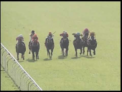 2019-08-11 Race 3(0355) - THE ASSOCIATION OF MACAU RACING JOURNALISTS CUP