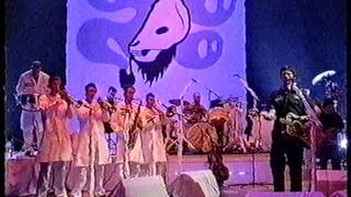 Super Furry Animals, Northern Lites, live on Later With Jools Holland 2000.MPG
