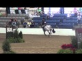 USEF Pony Medal Final 