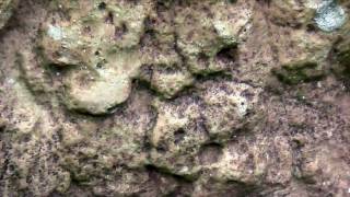 preview picture of video 'Carvings and Shapes at West Kennet Long Barrow'