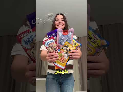 عندما جعلت القطة مع الفأر سيدتها تفقد عقلها 😹🐭