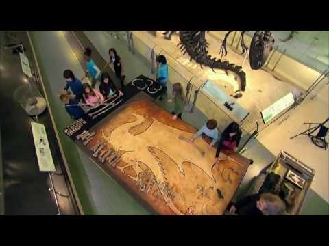 How to Find Your Dragon (a "How to Train Your Dragon" special feature)