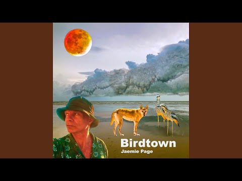 Annie Booker - Bird Town - Misc Originals