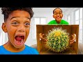 WHAT S IN THE BOX CHALLENGE WITH THE PRINCE FAMILY