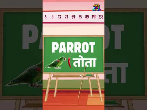 Learn Bird Names with Hindi Pronunciation & Spelling | पक्षियों के नाम | Part 1 video thumbnail