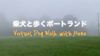 【Hana369】Happy Halloween! ハロウィン🎃