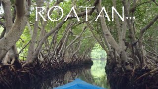 preview picture of video 'Roatan Tour'