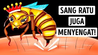 Download lagu Apa Sengatan Ratu Lebah Lebih Membahayakan? Yuk Cari Tahu mp3