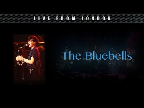 The Bluebells - South Atlantic Way