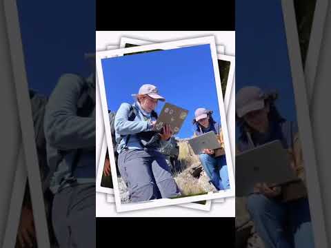 Una travesía de exploración: aprendizaje, investigación y transformación