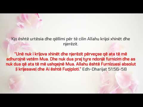 Realizimi i teuhidit - Suhejmi