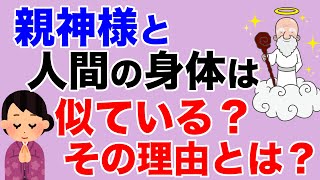 親神様の身体と人間の身体の意外な共通点とは？【教典第四章 part2】【天理教の教え】