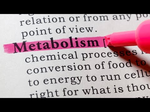 Dr. Travis Stork On 3 Ways To Speed Up Your Metabolism