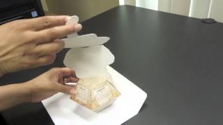 Elephant Pop-Up by American Slide-Chart/Perrygraf